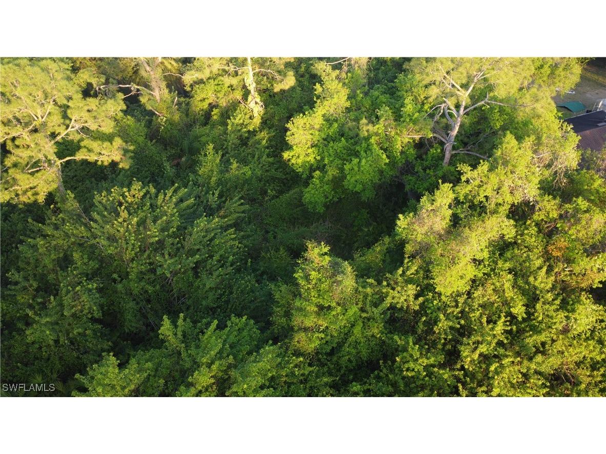 1413 Gerald Avenue Lehigh Acres FL 33972 225027034 image4