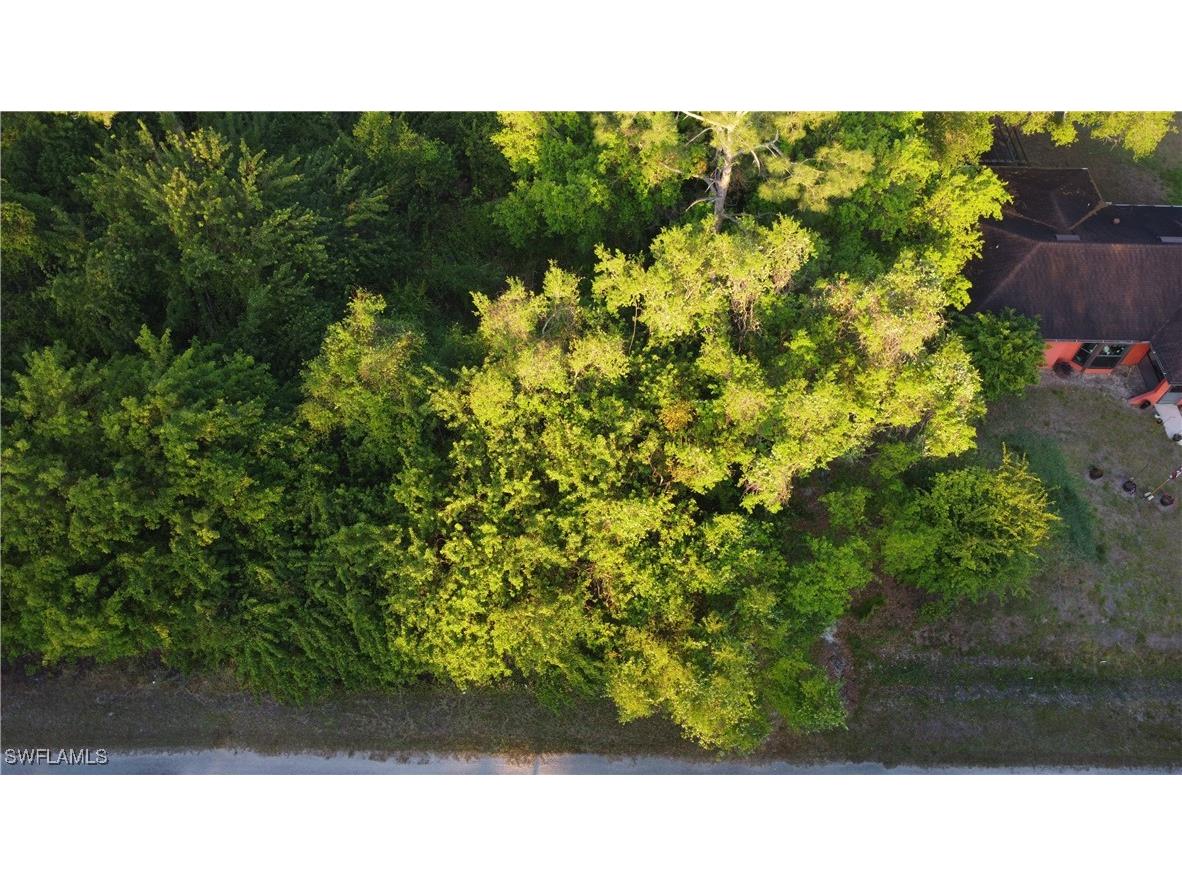 1413 Gerald Avenue Lehigh Acres FL 33972 225027034 image6