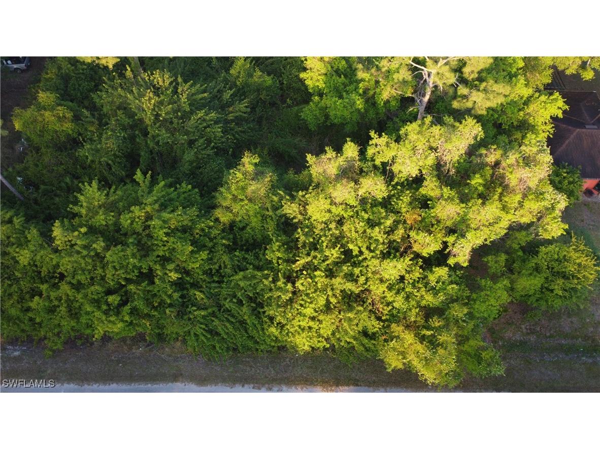 1413 Gerald Avenue Lehigh Acres FL 33972 225027034 image7