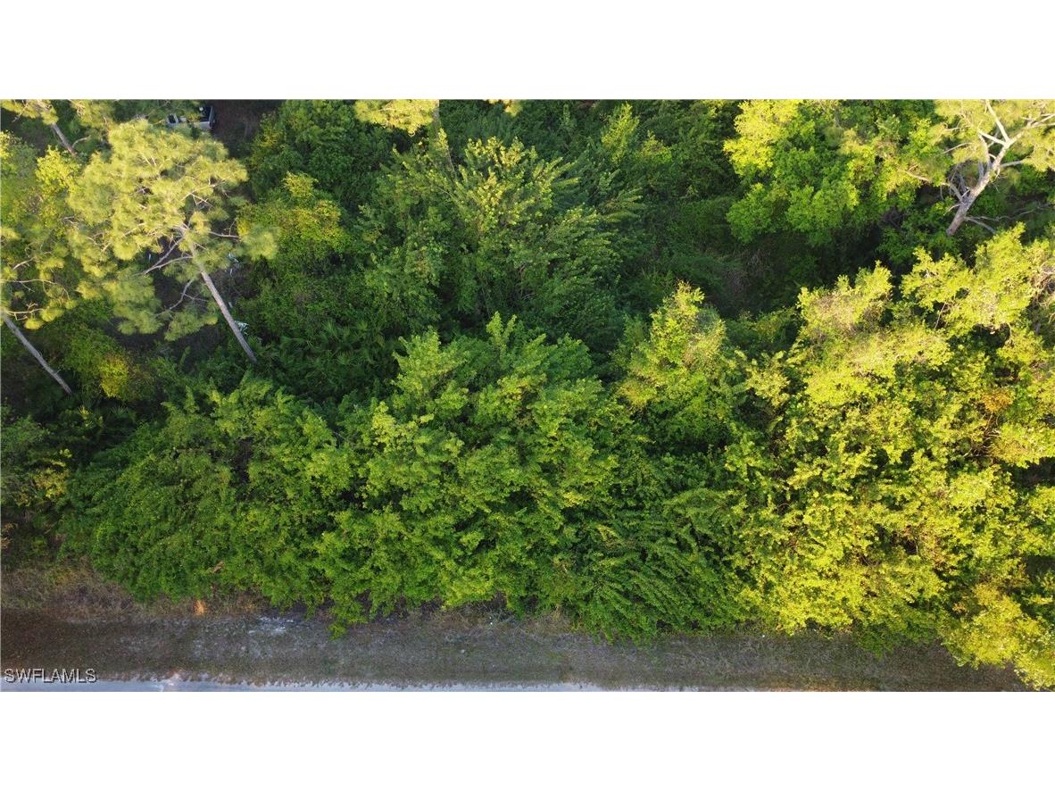 1413 Gerald Avenue Lehigh Acres FL 33972 225027034 image8