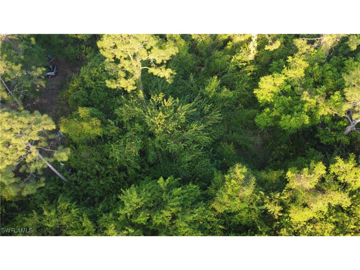 1413 Gerald Avenue Lehigh Acres FL 33972 225027034 image9