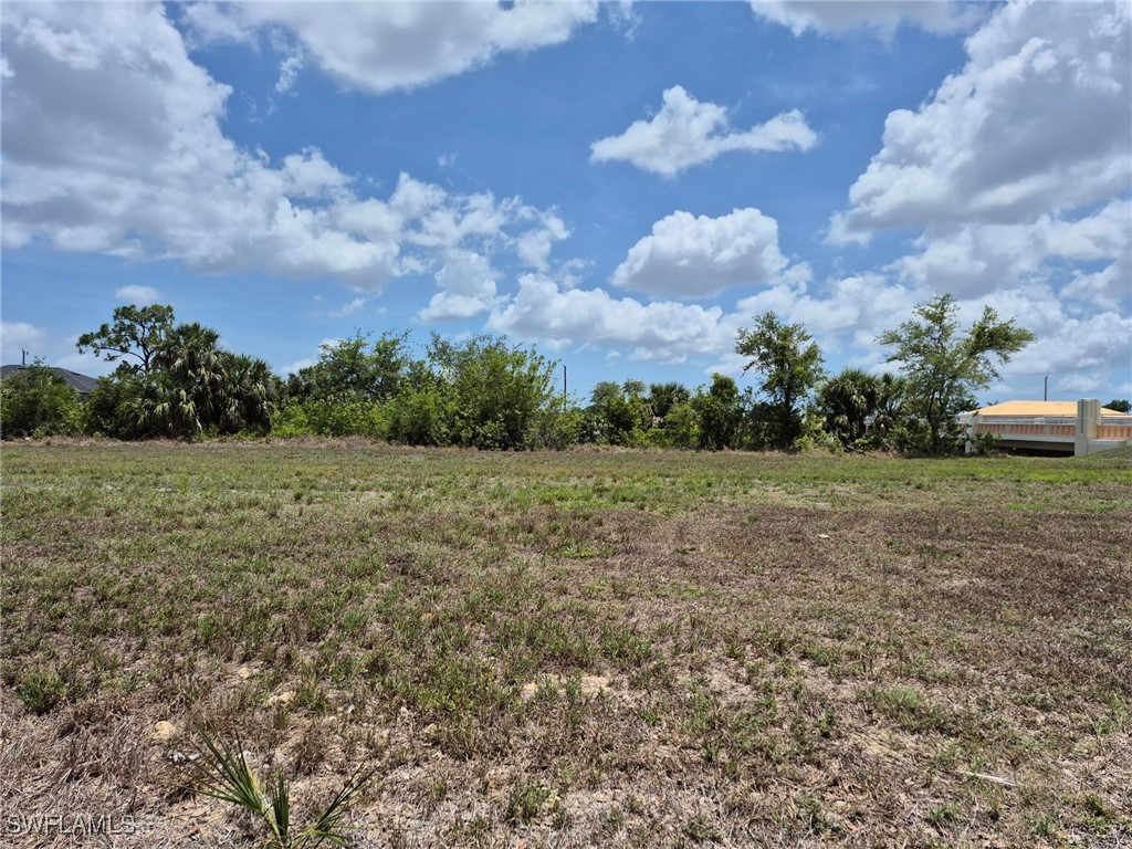 1420 NE 23rd Terrace Cape Coral FL 33909 225048375 image1