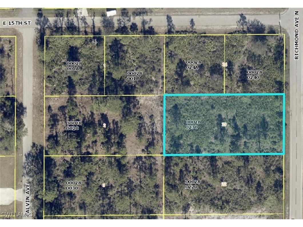 1421 Richmond Avenue N Lehigh Acres FL 33972 223072093 image1