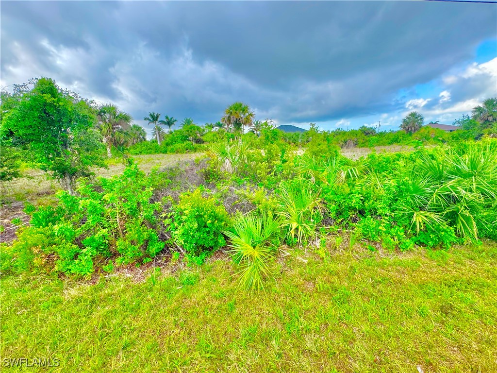 14334 Fort Worth Circle Port Charlotte FL 33981 225046240 image18