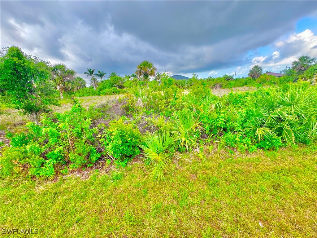 14334 Fort Worth Circle Port Charlotte FL 33981 225046240 image21