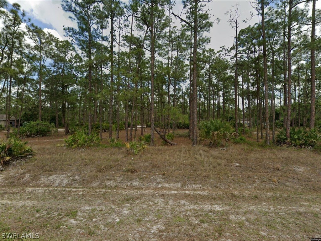 1442 Lincoln Avenue Lehigh Acres FL 33972 222068716 image1