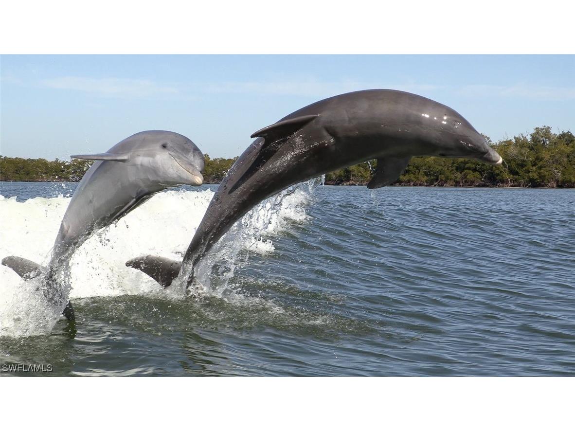 147 Capri Boulevard Naples FL 34113 225029061 image16