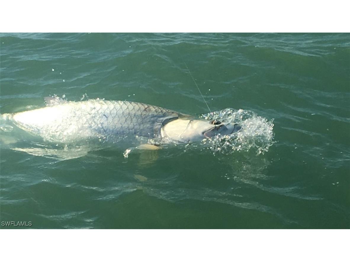 147 Capri Boulevard Naples FL 34113 225029061 image17