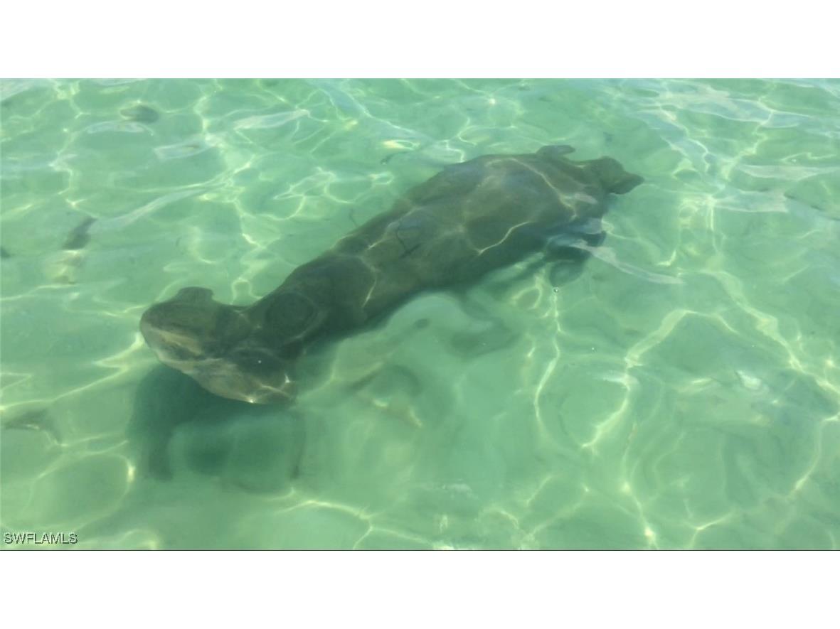 147 Capri Boulevard Naples FL 34113 225029061 image19