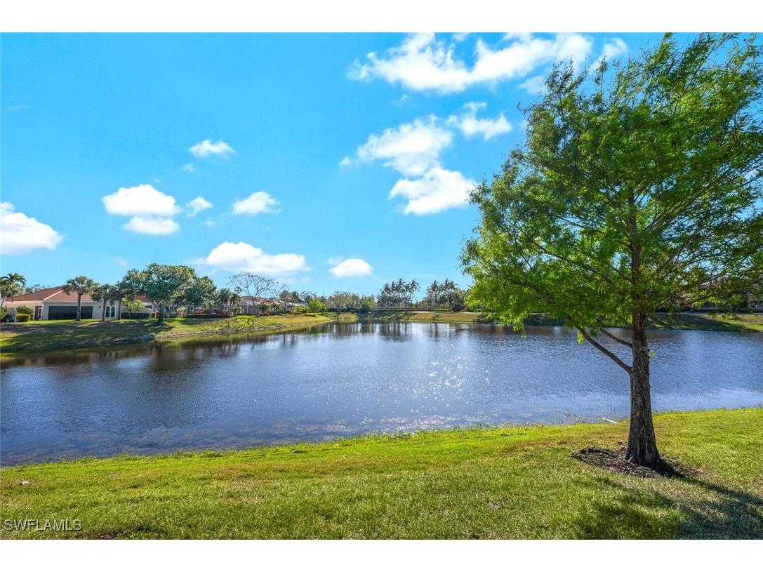 14744 Ferrara Court Bonita Springs FL 34135 225027633 image30