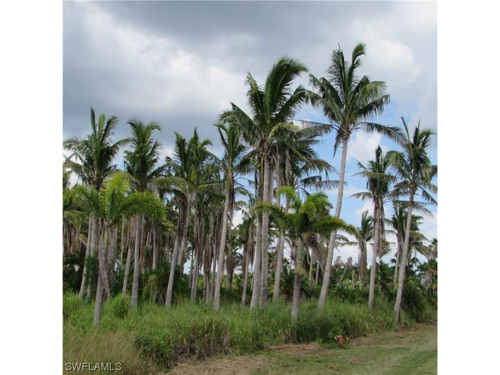 14900 Stringfellow Road Bokeelia FL 33922 223061233 image19