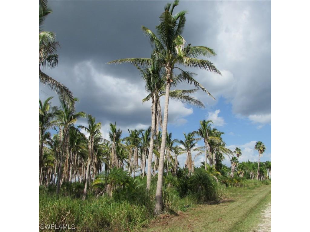 14900 Stringfellow Road Bokeelia FL 33922 223061233 image35