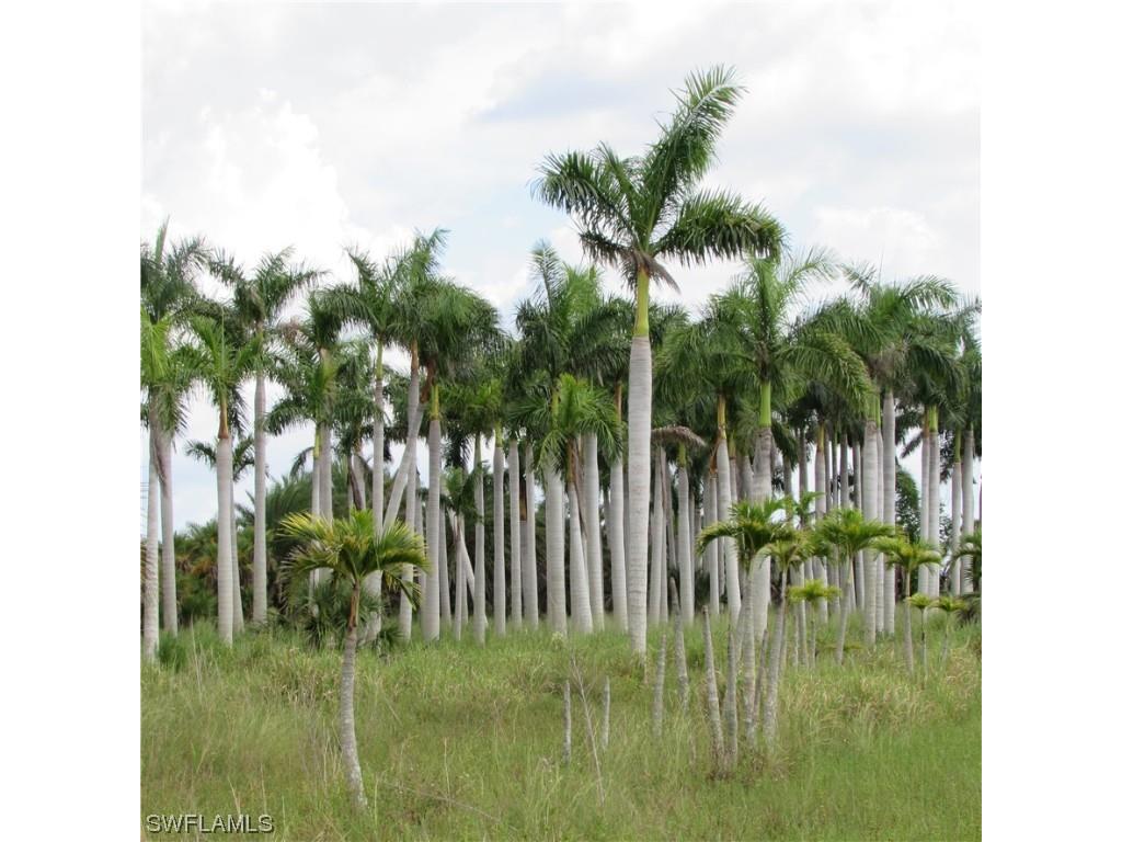 14900 Stringfellow Road Bokeelia FL 33922 223061233 image6