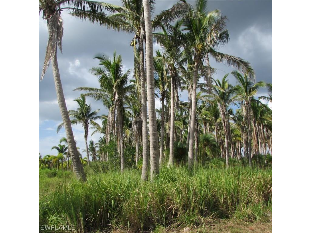 14900 Stringfellow Road Bokeelia FL 33922 223061233 image7