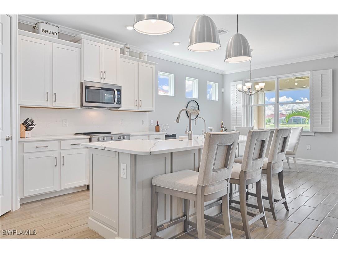 15058 Citrus Tree Court Alva FL 33920 225048314 image19