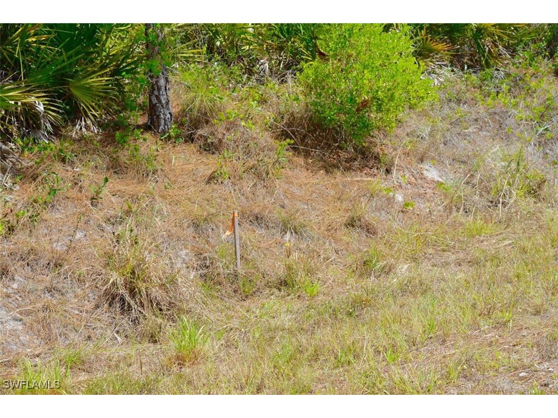 1510 Pine Avenue Lehigh Acres FL 33972 225034697 image8