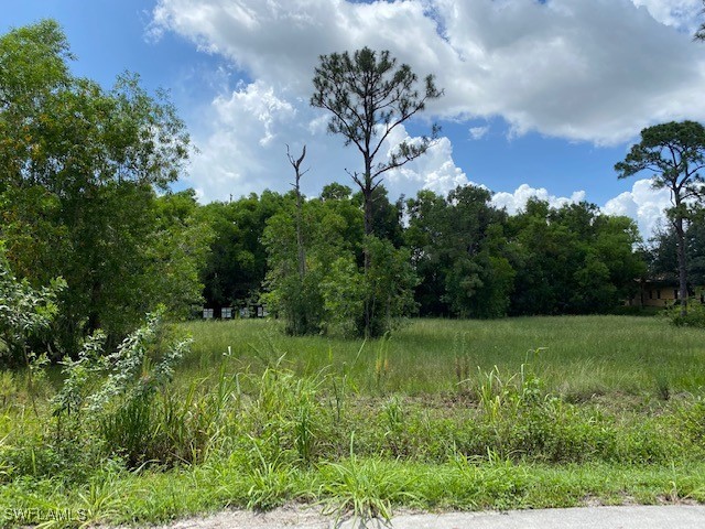 15100 & 15200 Elderberry Lane Fort Myers FL 33907 225004000 image3