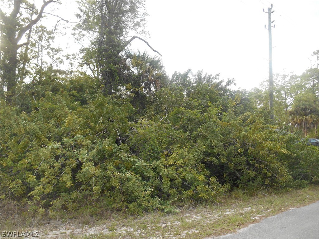 1515 Palmetto Avenue Lehigh Acres FL 33972 222028819 image10