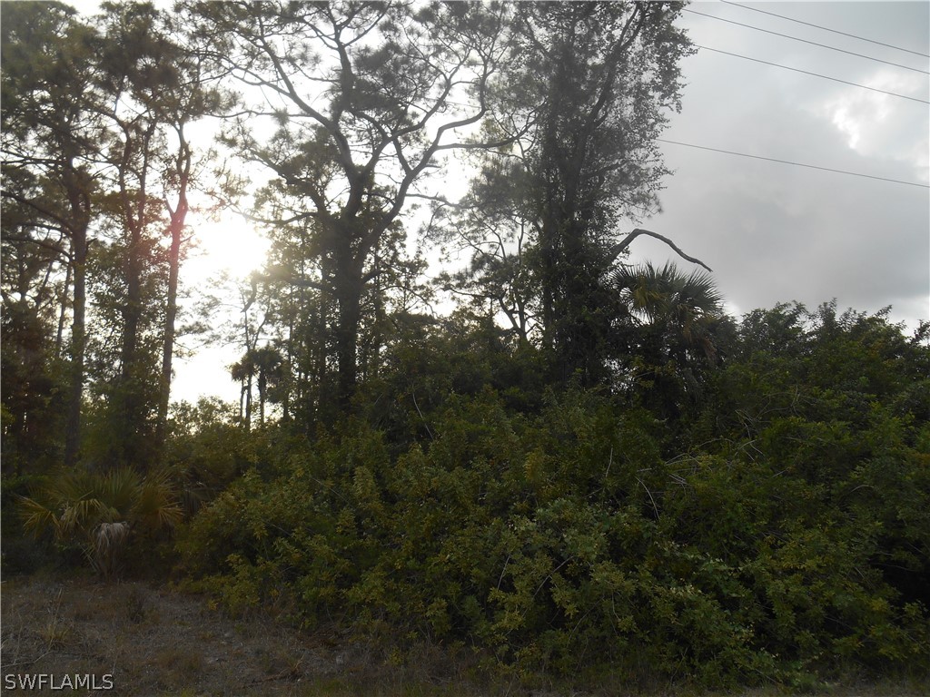 1515 Palmetto Avenue Lehigh Acres FL 33972 222028819 image2