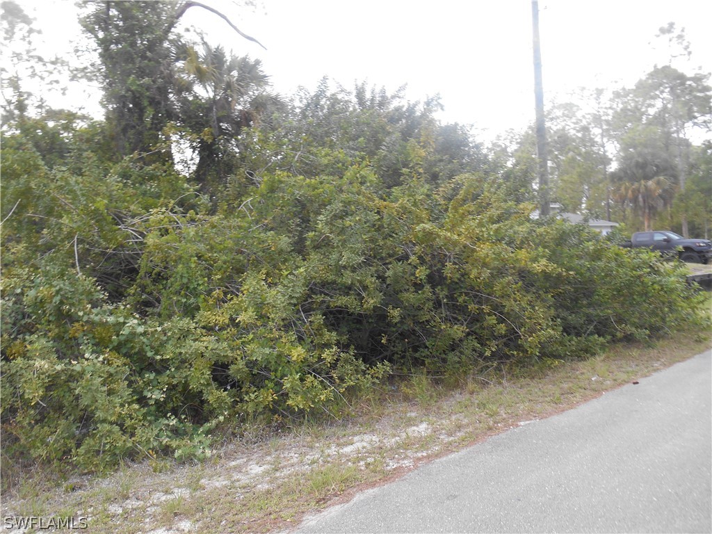 1515 Palmetto Avenue Lehigh Acres FL 33972 222028819 image5