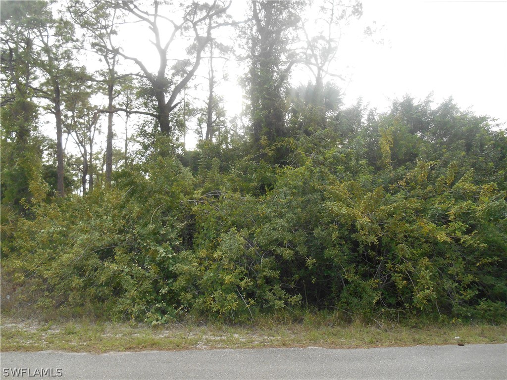 1515 Palmetto Avenue Lehigh Acres FL 33972 222028819 image6