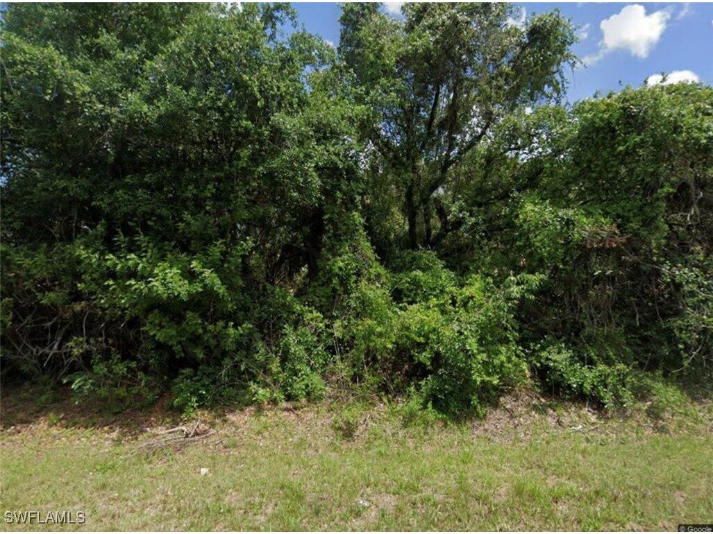 1516 Wellington Avenue Lehigh Acres FL 33972 225014232 image2