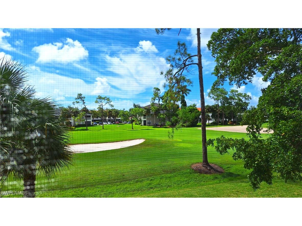 160 Turtle Lake Court #204 Naples FL 34105 224079944 image1