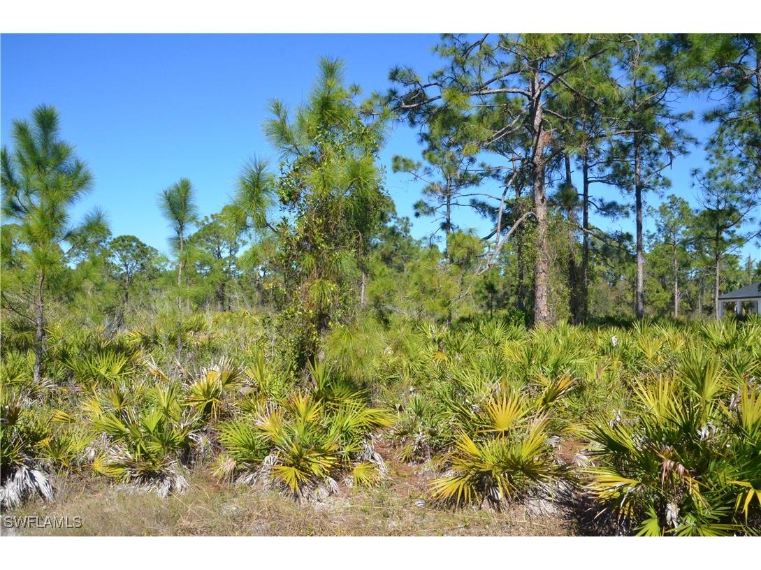 1602 W 14th Street Lehigh Acres FL 33972 225004308 image1