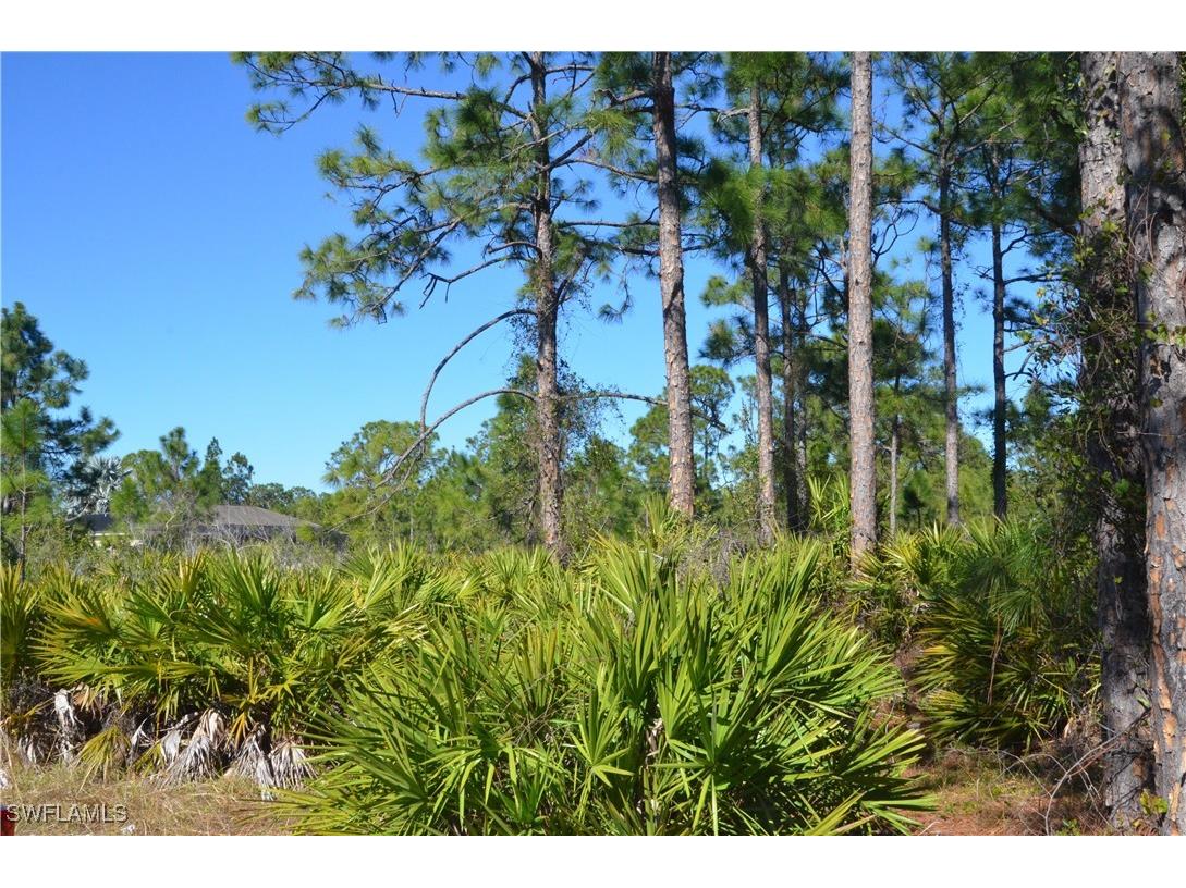 1602 W 14th Street Lehigh Acres FL 33972 225004308 image2