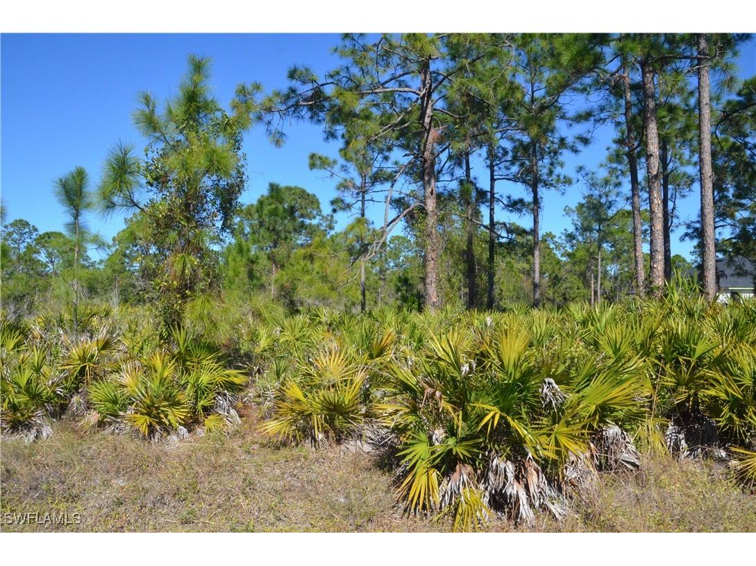 1602 W 14th Street Lehigh Acres FL 33972 225004308 image3