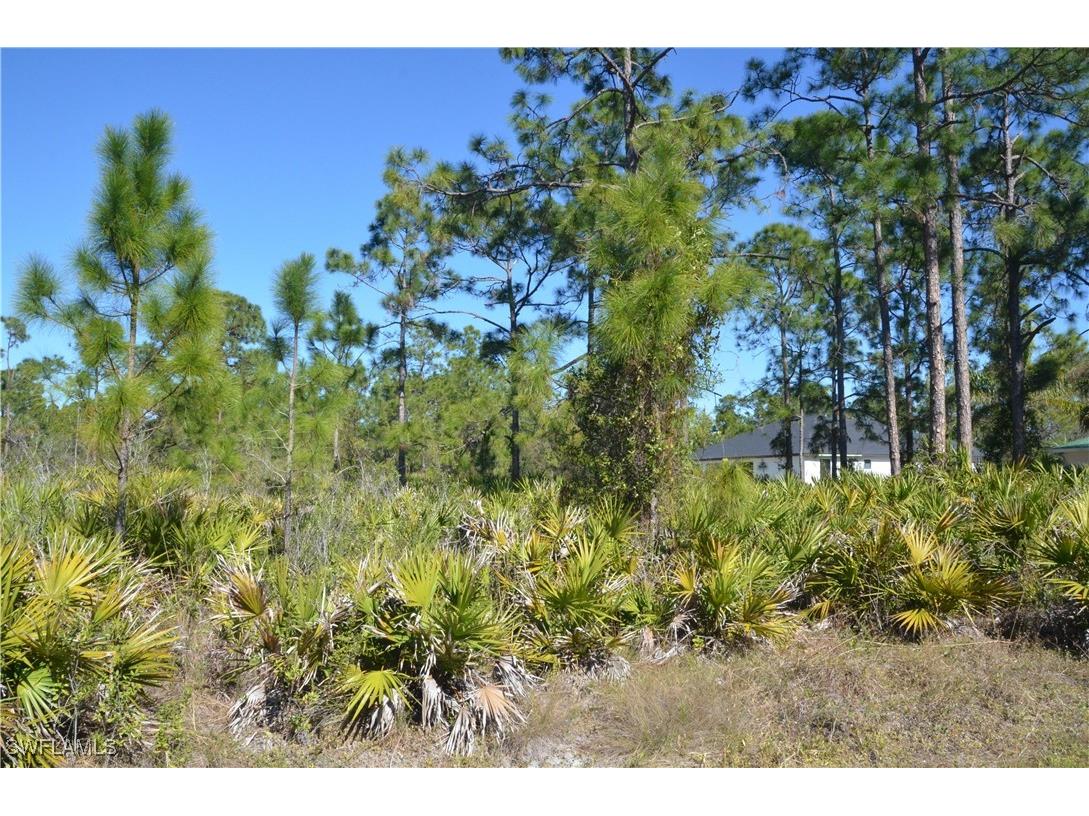 1602 W 14th Street Lehigh Acres FL 33972 225004308 image4