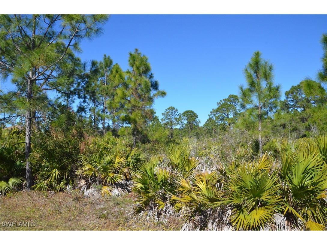 1604 W 14th Street Lehigh Acres FL 33972 225004327 image1