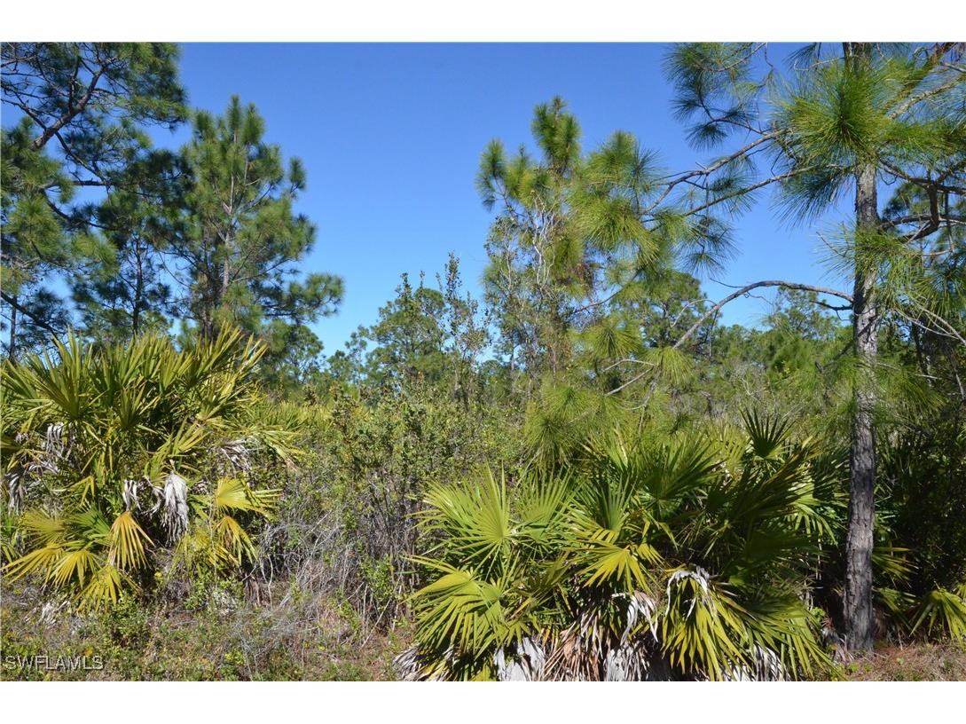 1604 W 14th Street Lehigh Acres FL 33972 225004327 image2