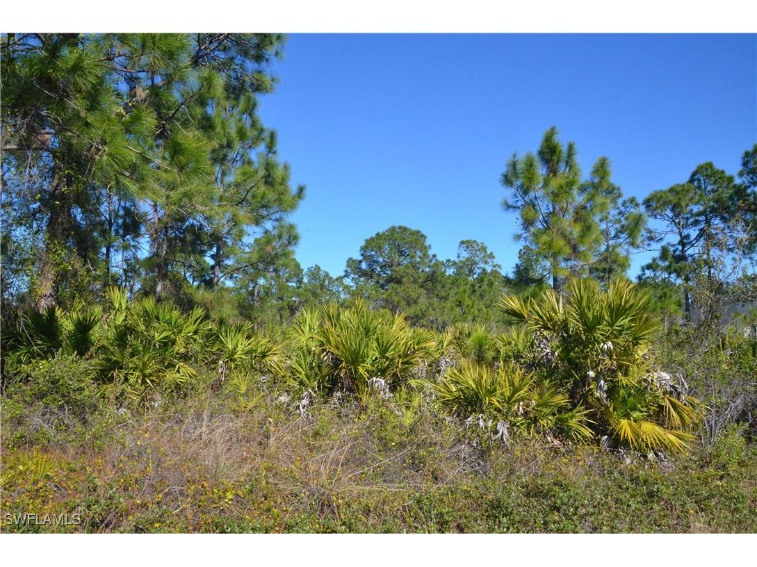 1604 W 14th Street Lehigh Acres FL 33972 225004327 image3