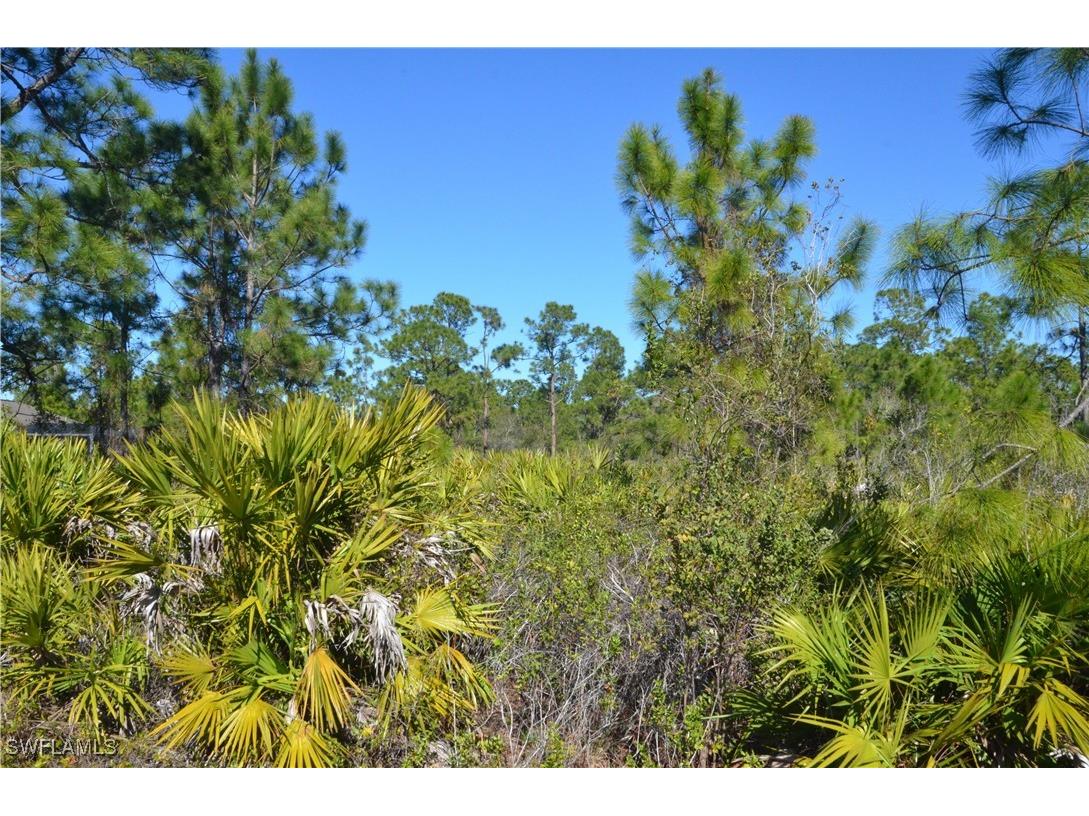 1604 W 14th Street Lehigh Acres FL 33972 225004327 image4