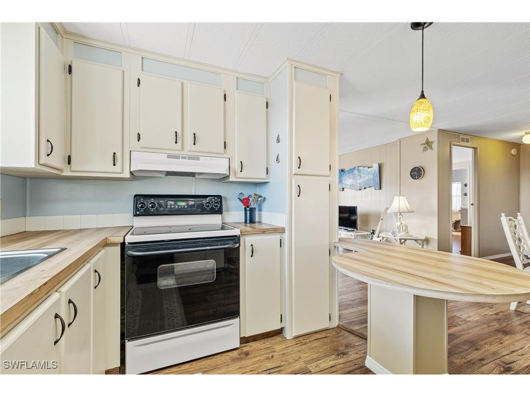 16045 Hibiscus Way North Fort Myers FL 33903 225013790 image15