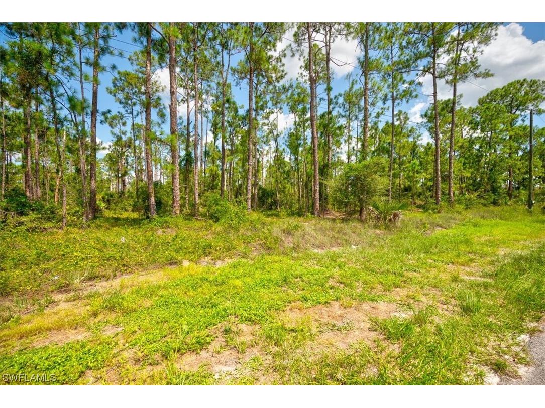 1610 Edison Avenue Lehigh Acres FL 33972 223058455 image2