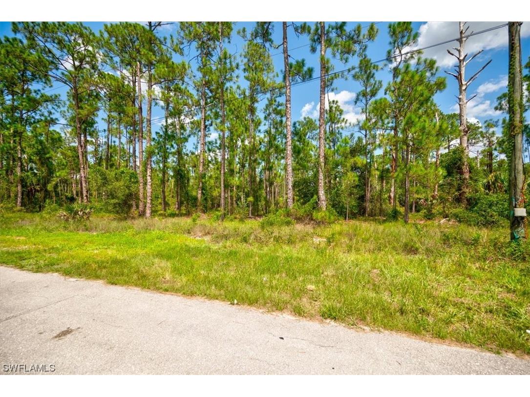 1610 Edison Avenue Lehigh Acres FL 33972 223058455 image4