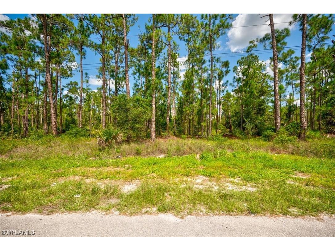 1610 Edison Avenue Lehigh Acres FL 33972 223058455 image6