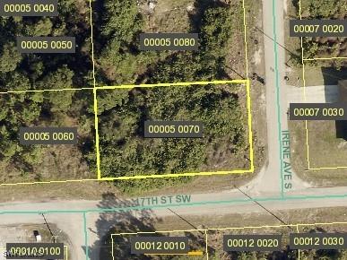 1610 Irene Avenue S Lehigh Acres FL 33976 224070648 image1
