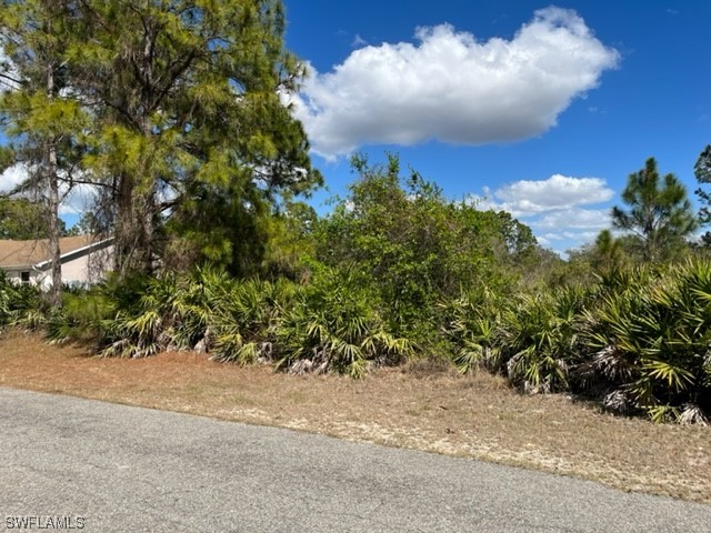 1612 Lee Avenue Lehigh Acres FL 33972 222018004 image1