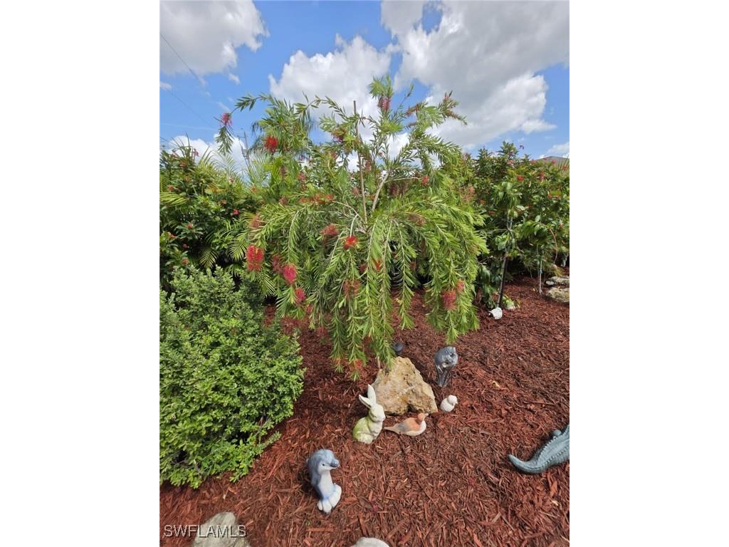 1631 SE 20th Street Cape Coral FL 33990 225046804 image16