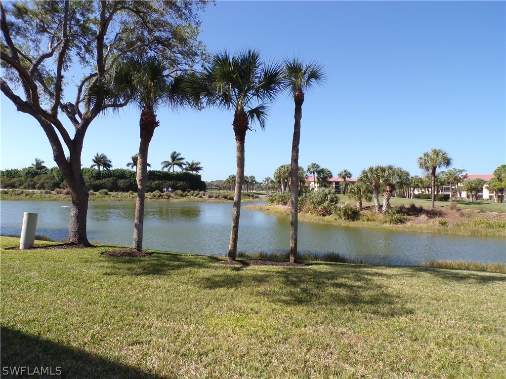 16500 Kelly Cove Drive #2865 Fort Myers FL 33908 224038109 image10