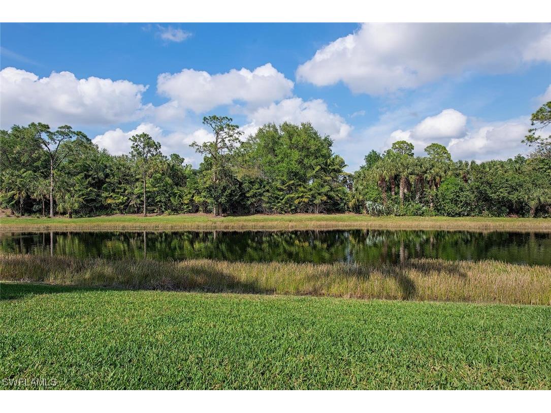 16631 Cortona Lane Naples FL 34110 224020874 image13