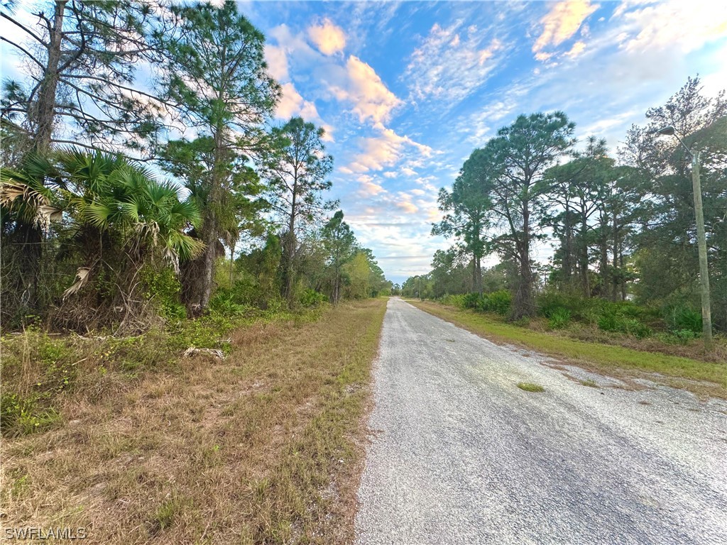 167 Clemson Avenue S Lehigh Acres FL 33974 224007820 image2