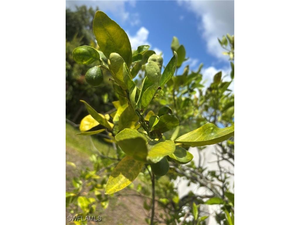 16991 Carolyn Lane North Fort Myers FL 33917 225044517 image37