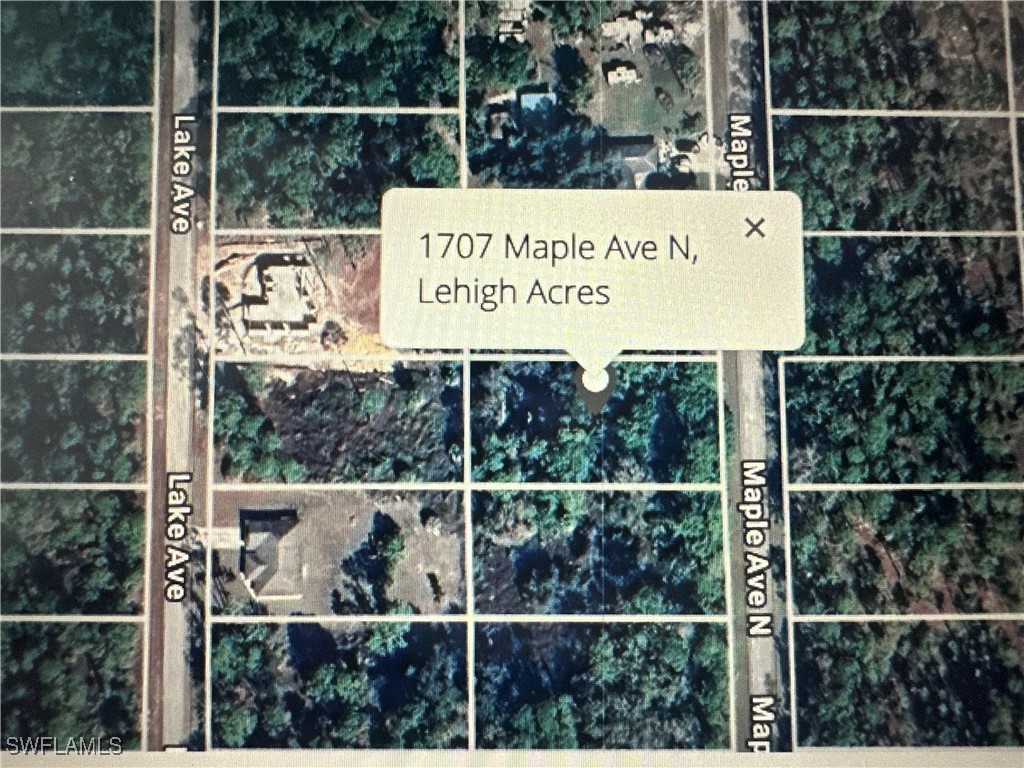 1707 Maple Avenue N Lehigh Acres FL 33972 225039667 image1