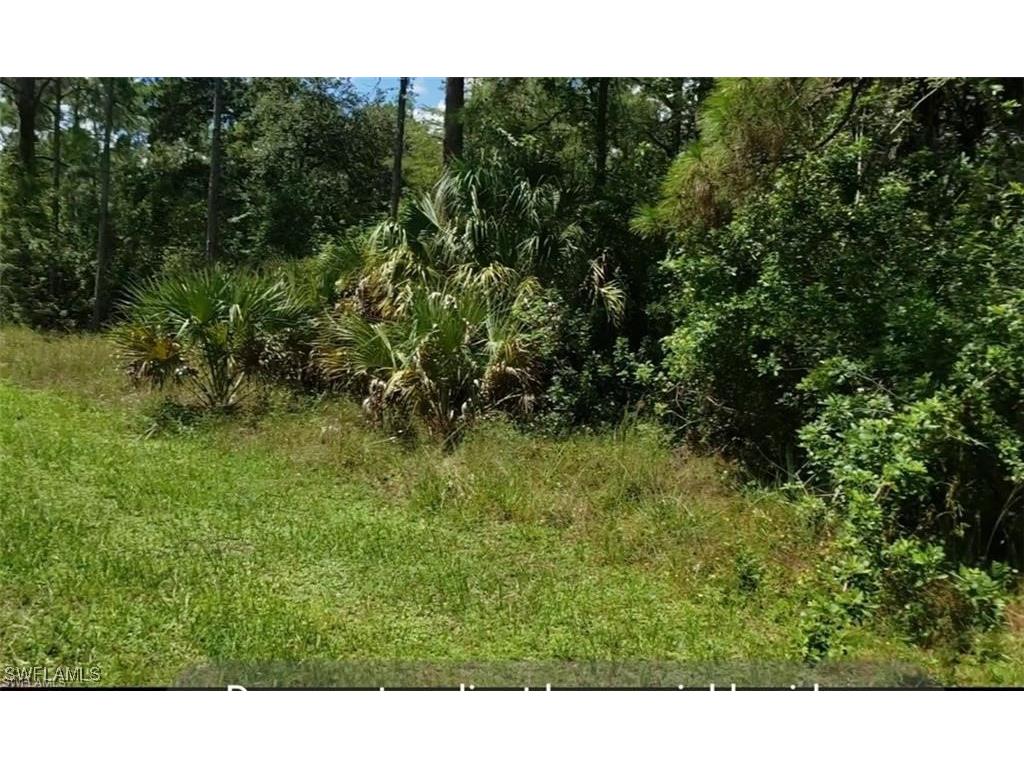 1707 Maple Avenue N Lehigh Acres FL 33972 225039667 image5