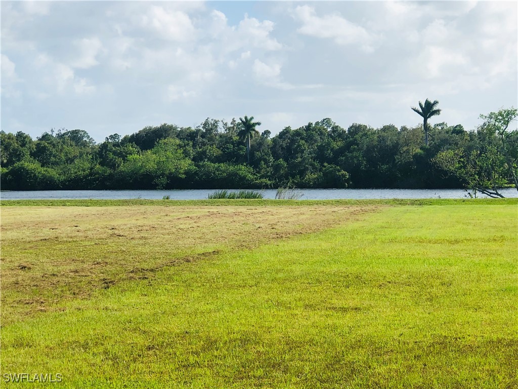 17107 Serengeti Circle Alva FL 33920 224087443 image4