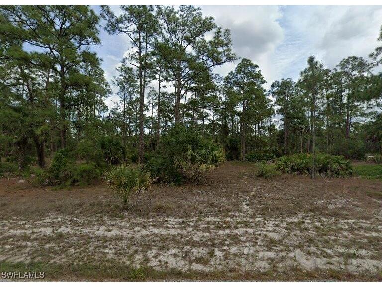 1720 Palmetto Avenue Lehigh Acres FL 33972 224101027 image1